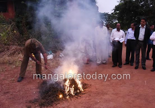 DK administration destroys 18 kg seized ganja 1